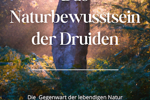 Das Naturbewusstsein der Druiden, Format: PDF, A5, 27 Seiten